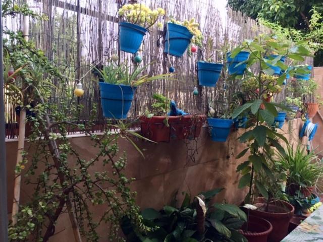 Apartamento Cool Garden Mairena del Aljarafe Exterior photo