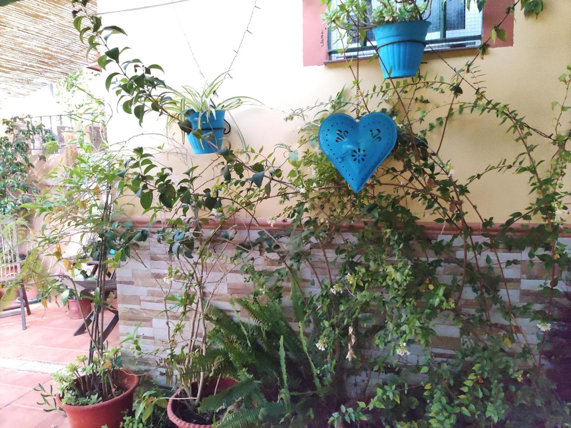 Apartamento Cool Garden Mairena del Aljarafe Exterior photo